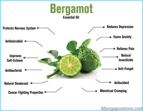 what is bergamot used for.